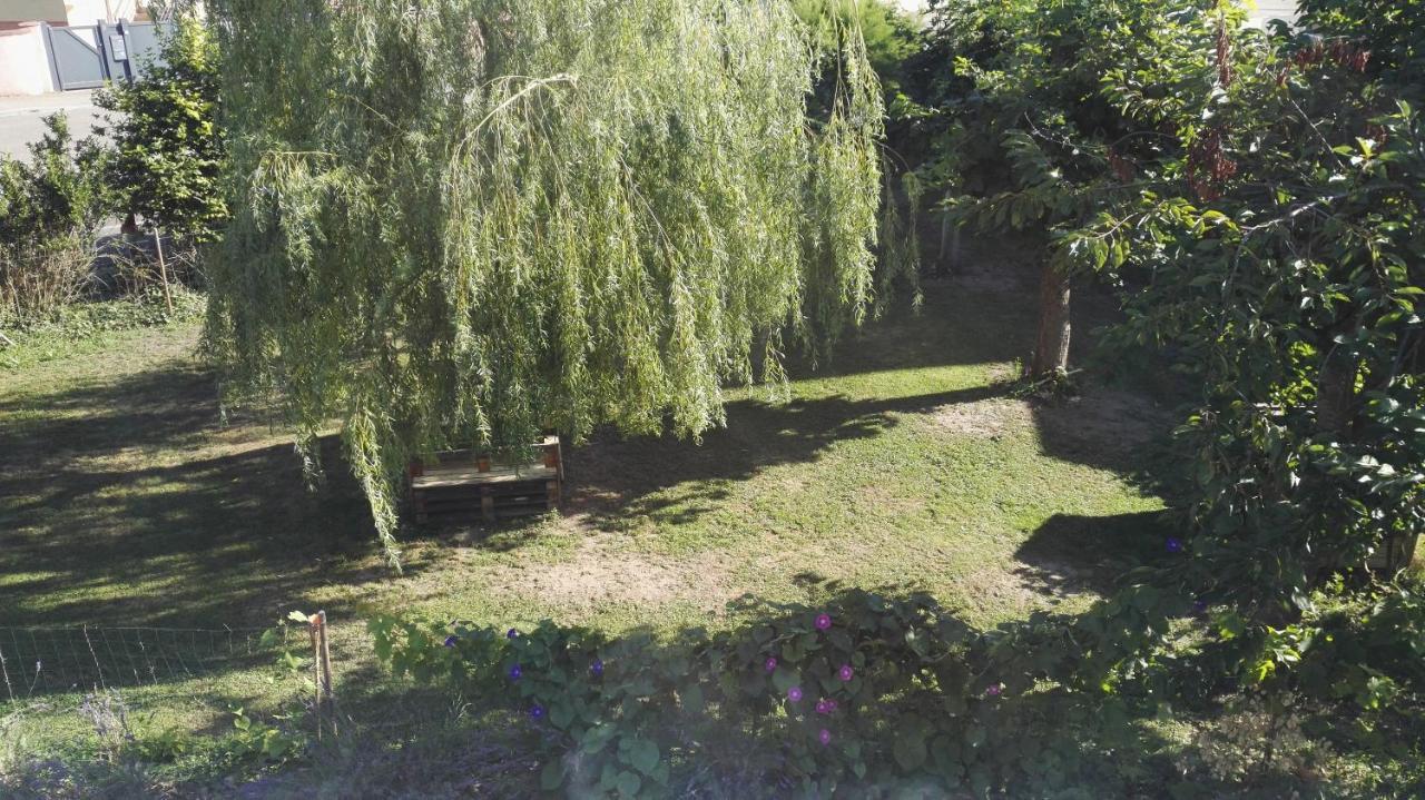 Vie Et Passion Elsenheim